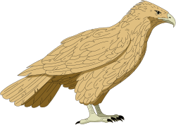 Animals,Animbird,CS000032 clipart