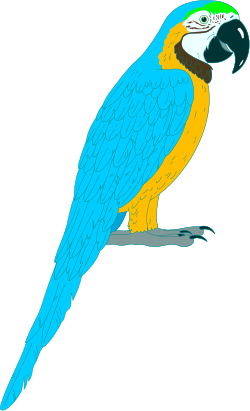 Blue and Yellow Parrot Sitting on a Branch