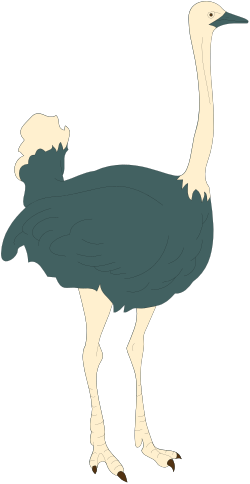 Elegant Ose Bird Clipart: Tall Neck and Legs