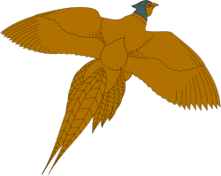 Bird Flying in the Air with Wings Spread - Stunning Clipart for Every Project