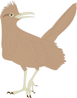 Long Beak Bird Clipart - Elegant Avian Illustration for Projects
