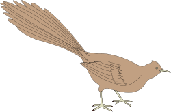 Animals,Animbird,CS000047 clipart