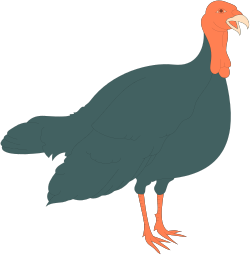 Turkey Silhouette on Black Background - Perfect for Festive Designs