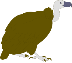 Bird on a Branch Clipart: Perfect for Nature Illustrations