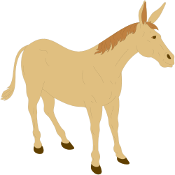 Horse Clipart on Black Background - Majestic Equine Beauty