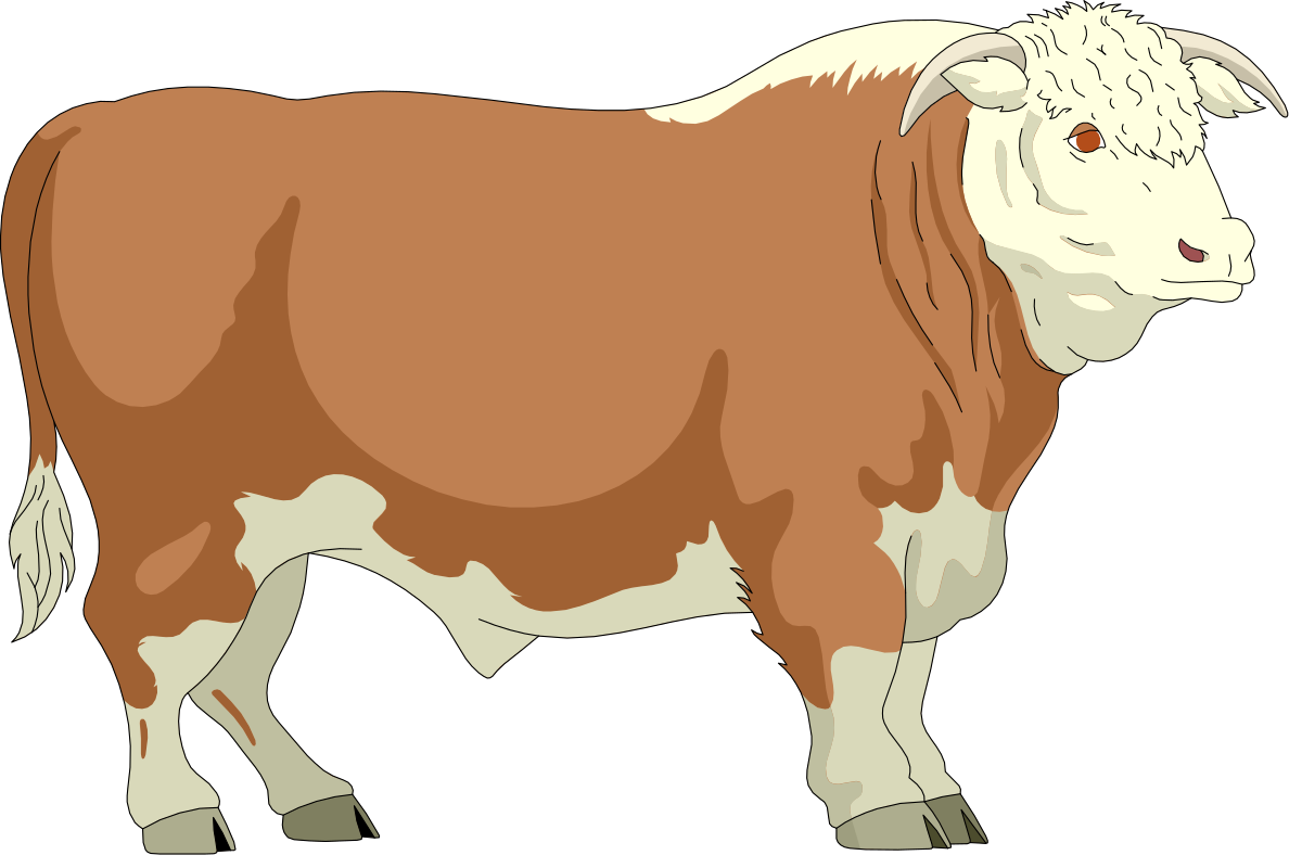 Brown and White Cow Clipart on Black Background