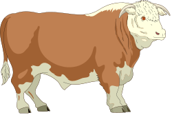 Brown and White Cow Clipart on Black Background