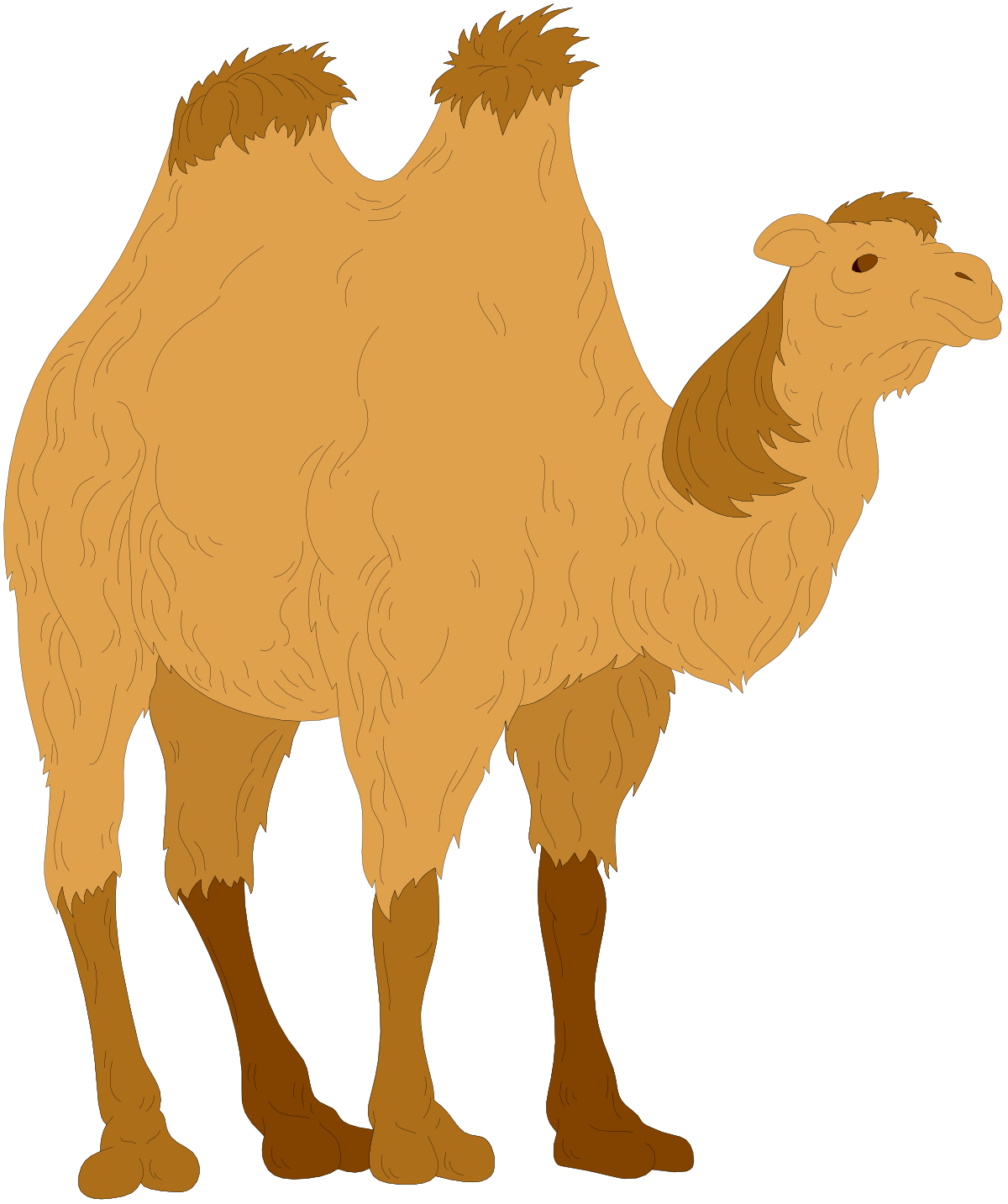 a camel standing on a black background clip art png transparent Camel Standing on Black Background - Unique Clipart for Your Projects