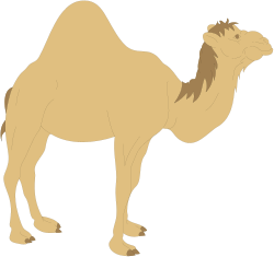 Camel Clipart on Black Background - Stunning Visuals for Your Projects