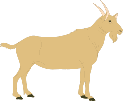 Goat Standing on Black Background - Eye-Catching Clipart