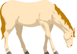Horse with Long Mane Clipart: Beautiful Equestrian Illustration