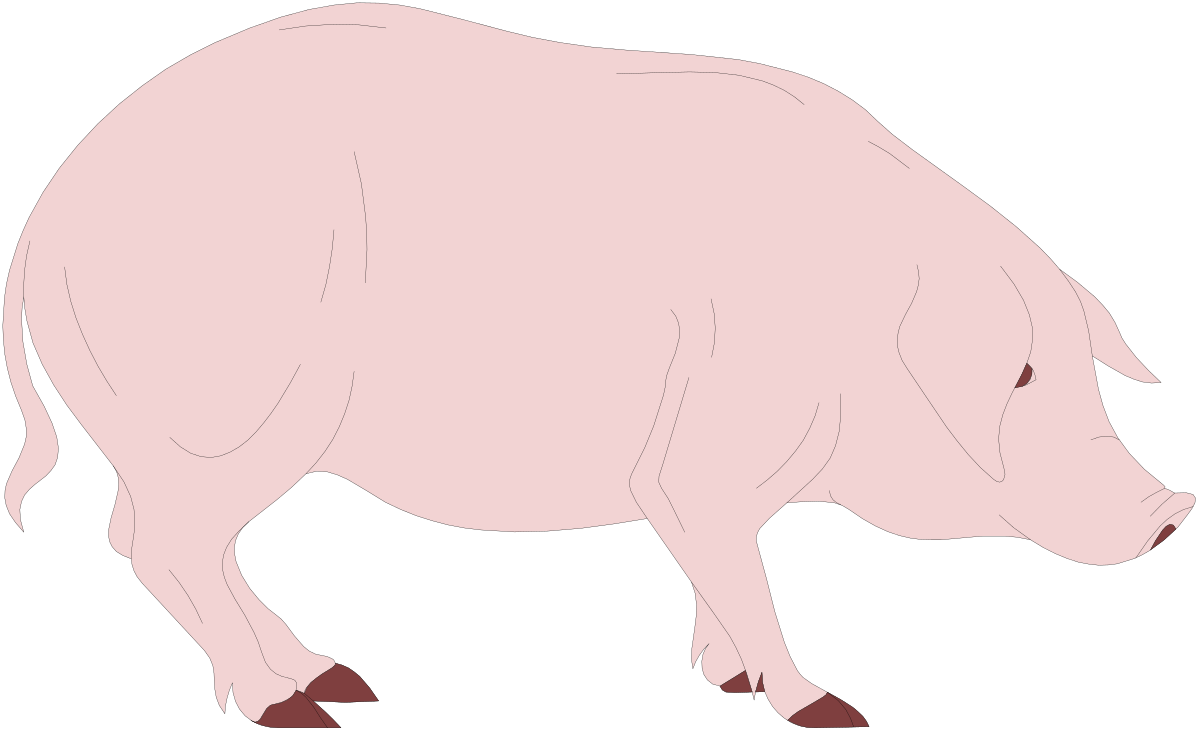 a pig with a long tail and a long tail clip art png transparent Pig Clipart with Long Tail - Whimsical Farm Animal Illustration