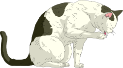 Cat Sitting and Observing - Playful Clipart for Your Projects