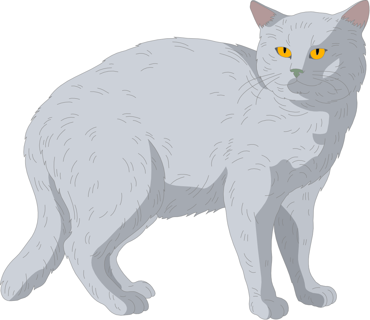 a gray cat with yellow eyes clip art png transparent Gray Cat with Yellow Eyes Clipart: Adorable Feline Graphics