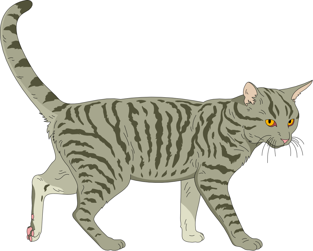 Cat Walking on Black Background - Elegant Clipart for All Uses
