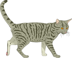 Cat Walking on Black Background - Elegant Clipart for All Uses