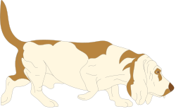 Dog with Brown and White Face Clipart: Perfect for Fun Projects