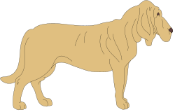 Dog Standing on Black Background - Stunning Clipart for Creative Projects