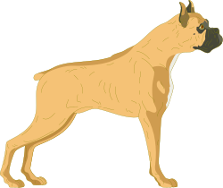 Dog Standing on Black Background Clipart - Perfect for Creative Projects