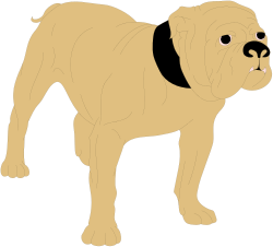 Animals,Catsdogs,CS000124 clipart