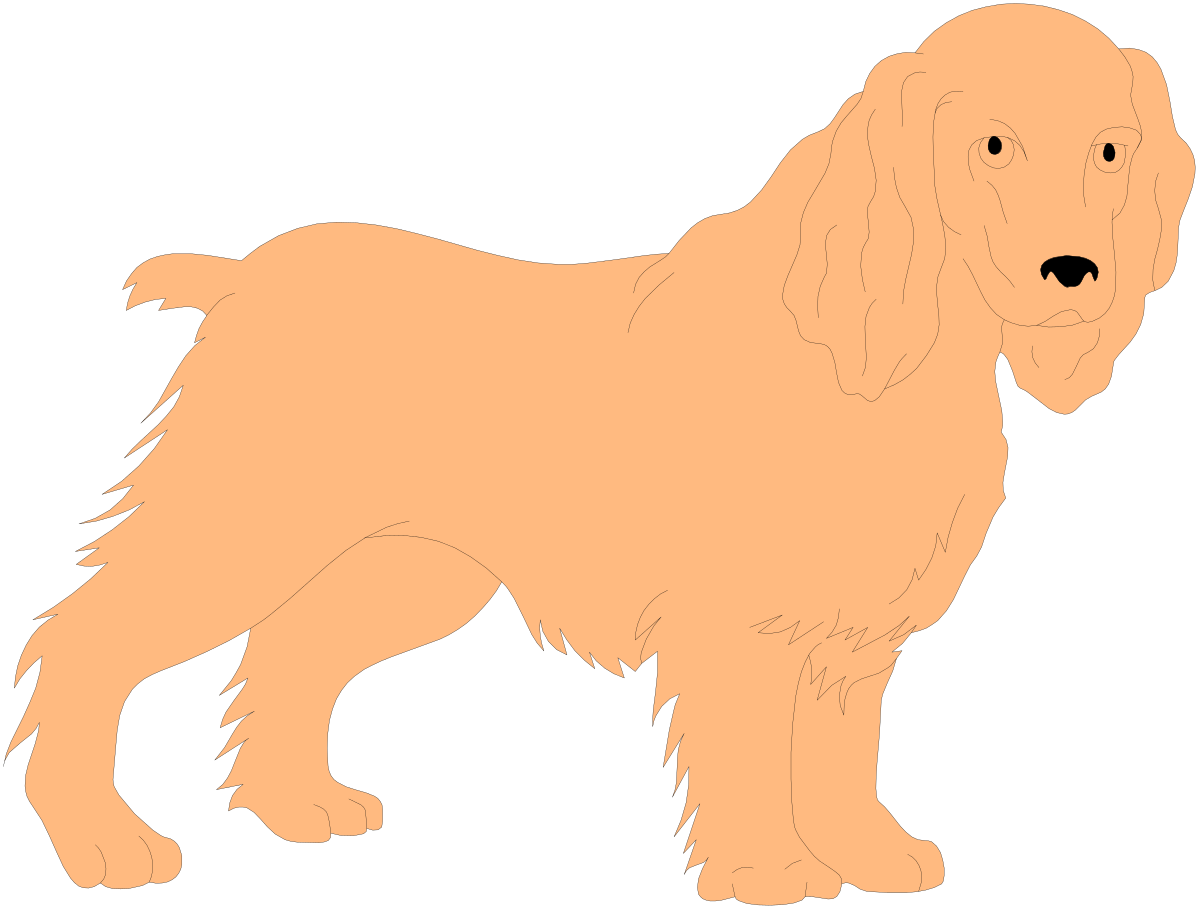 a dog with long hair standing on a black background clip art png transparent Long Haired Dog on Black Background - Stunning Clipart for All Uses