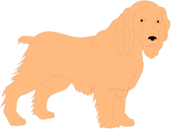 Long Haired Dog on Black Background - Stunning Clipart for All Uses