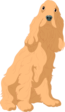 Animals,Catsdogs,CS000127 clipart