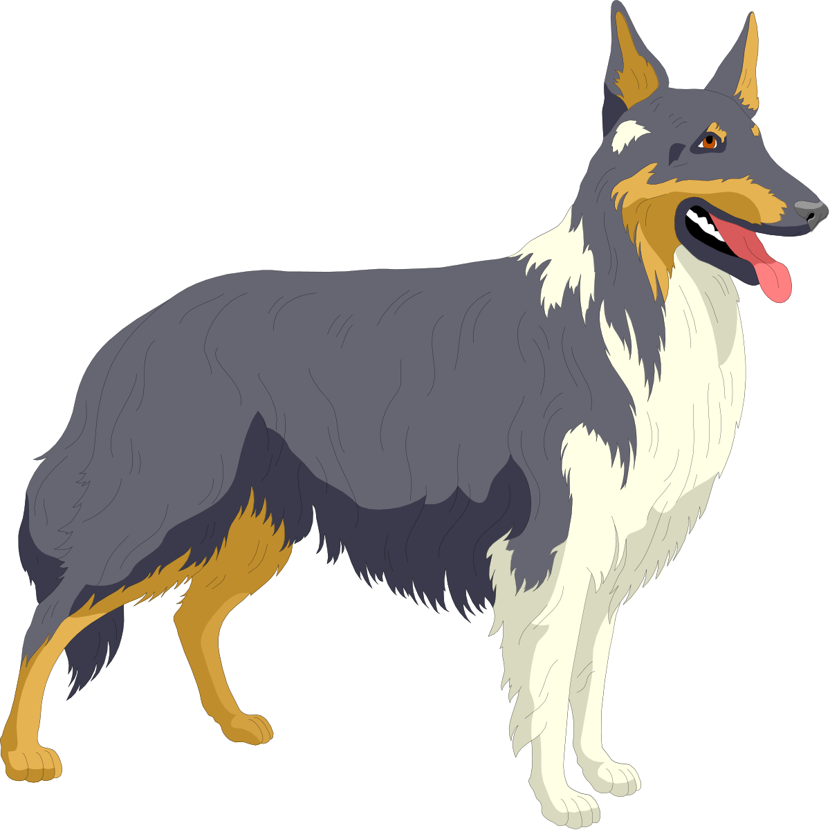 Dog with Long Coat on Black Background - Premium Clipart