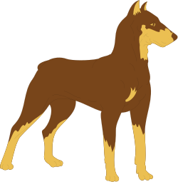 Brown Dog Standing on Black Background Clipart