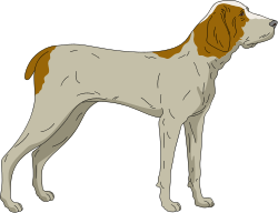 Dog Standing on Black Background  Stunning Clipart SVG for Varied Uses