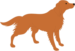 Brown Dog Standing Boldly on Black Background - Clipart Collection