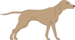 Animals,Catsdogs,CS000135 clipart