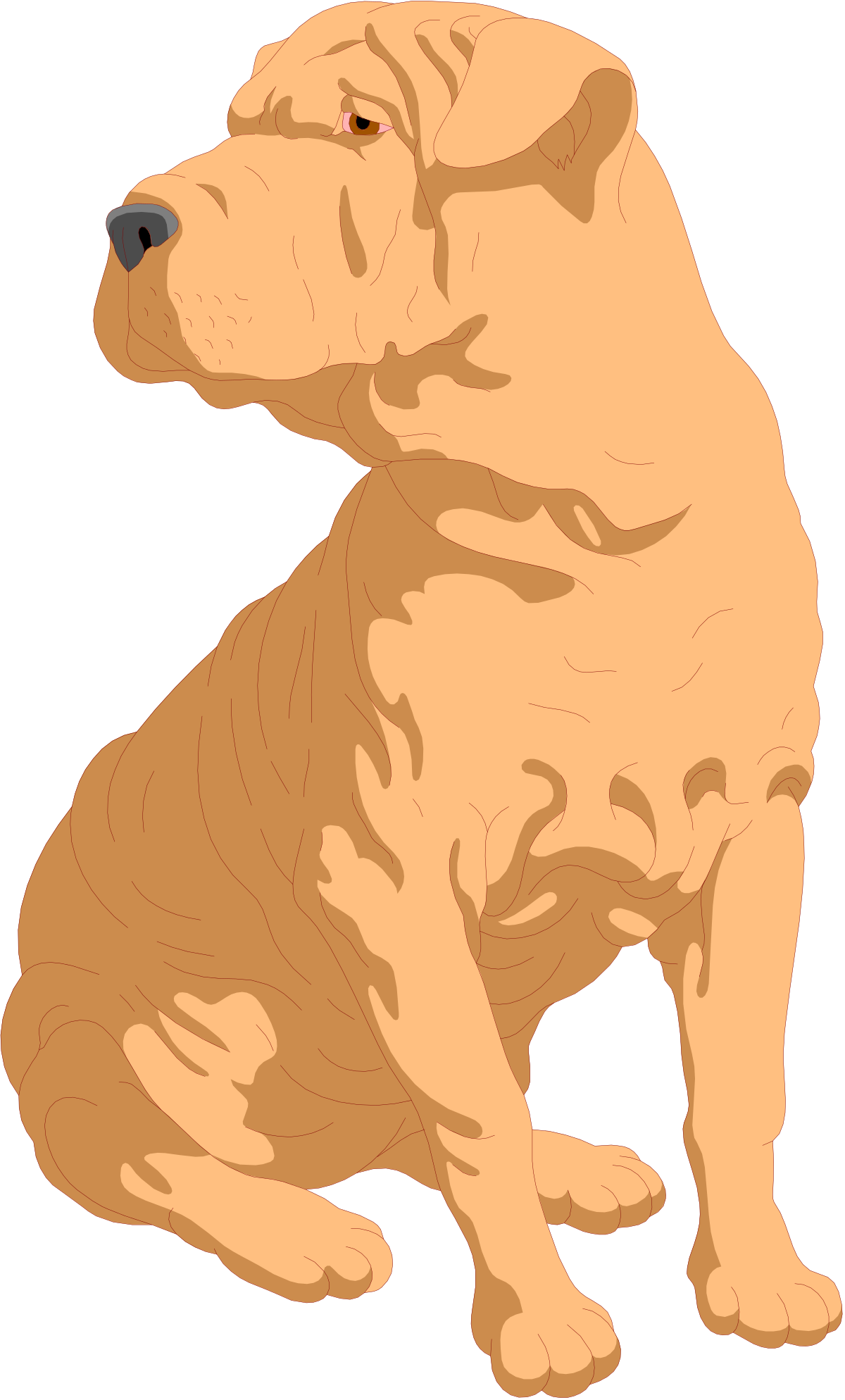 a dog sitting down on the ground clip art png transparent Dog Sitting Down on the Ground - Adorable Clipart Illustration