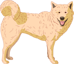 Cartoon Dog Clipart with Big Smile - Perfect for Fun Projects
