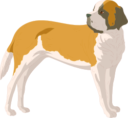 Brown and White Dog Standing on Black Background - Stunning Clipart