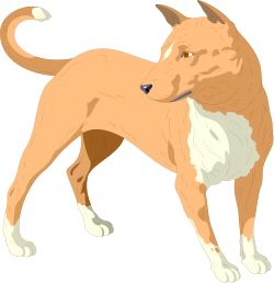 Dog with Brown Fur and White Tail - Adorable Clipart for Your Projects