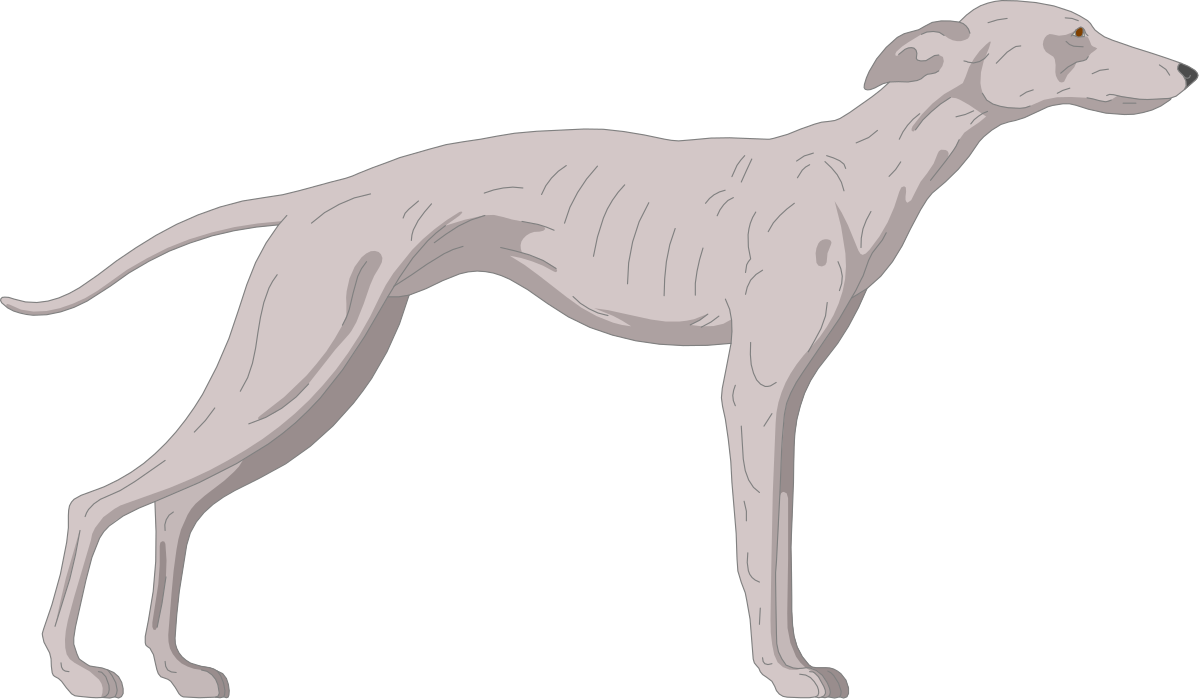 White Dog Clipart on Black Background - Perfect for Pet Projects