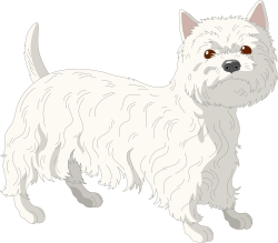 White Dog with Brown Eyes Clipart for Creative Projects