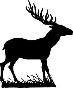Silhouette of a Horse - Black and White Clipart for Creative Projects
