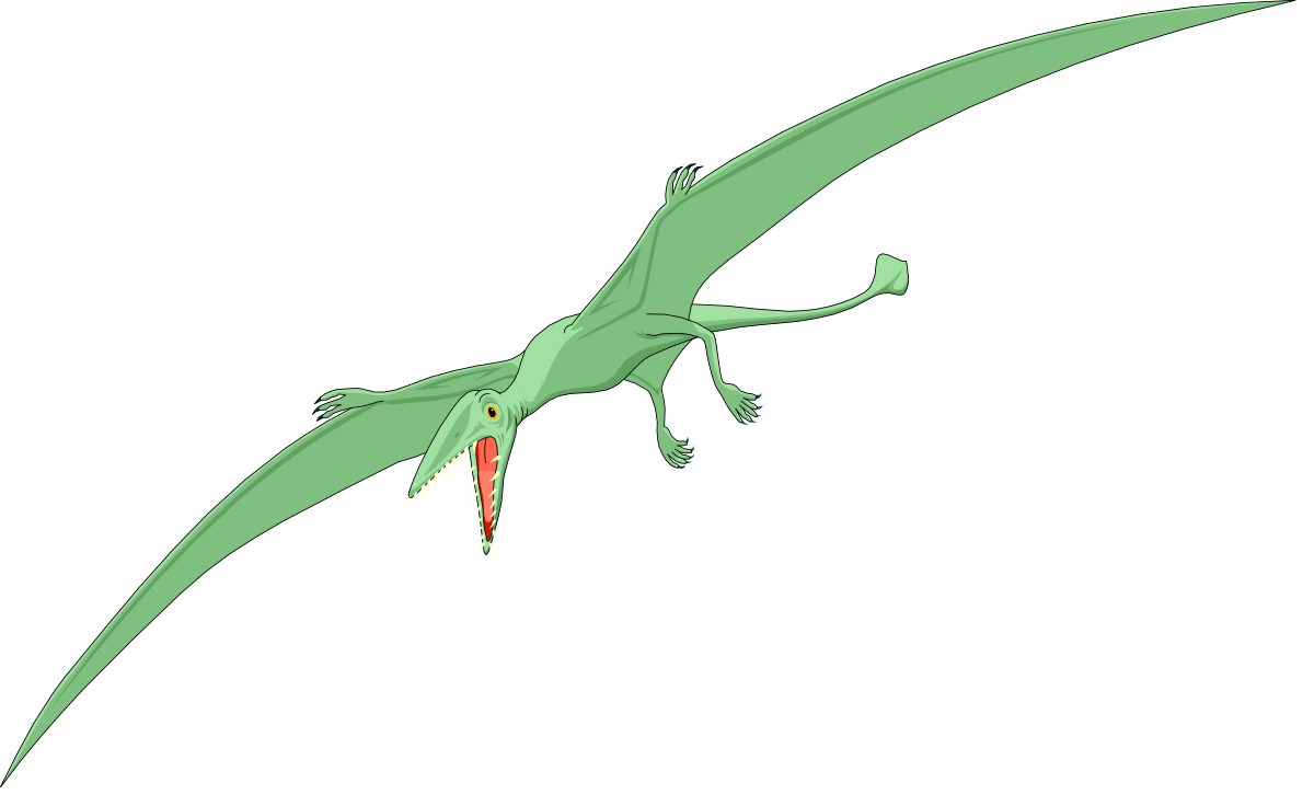 Green Bird Flying in the Sky - Vibrant Clipart