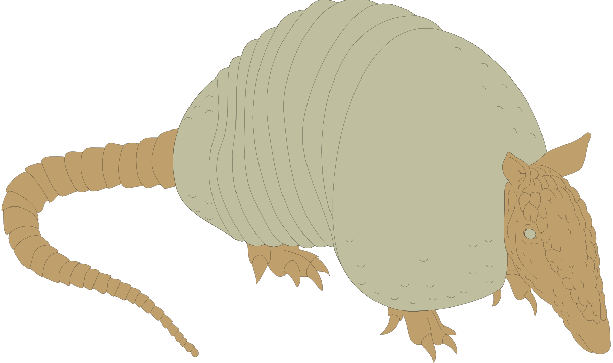 Armadillo Clipart: Charming Armadillos for Your Creative Projects