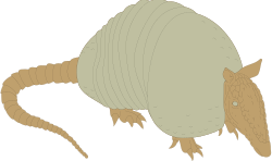 Armadillo Clipart: Charming Armadillos for Your Creative Projects