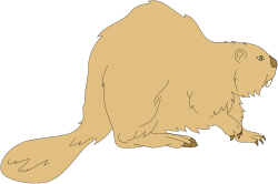 Brown Cat Sitting on Ground Clipart - Adorable Animal Illustrations