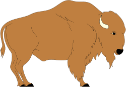 Bison Standing Majestically on Black Background - Stunning Clipart Download