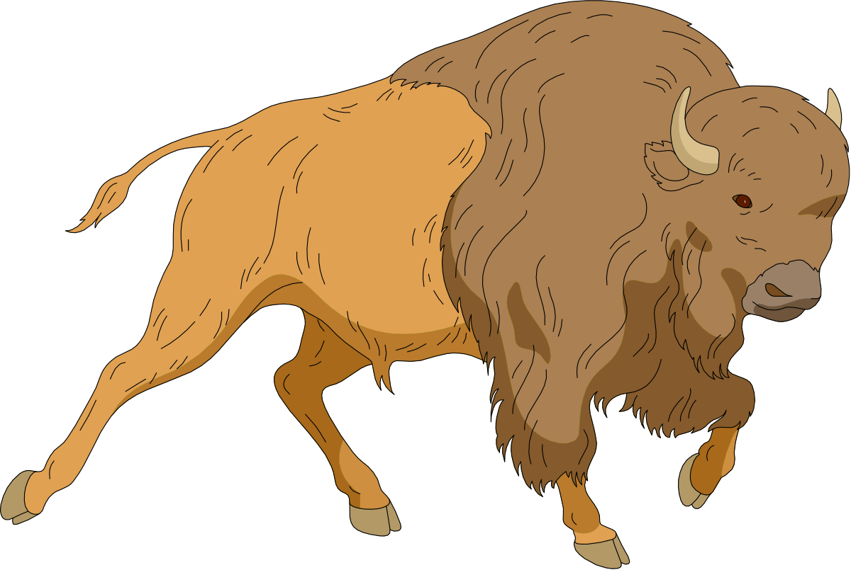Bison Standing on Black Background - Premium Clipart