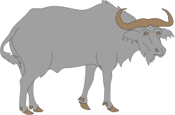 Gray Buffalo on Black Background - Stunning Clipart
