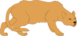 Brown Cat Walking on Black Background - Premium Clipart