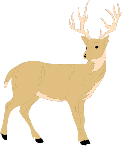 Deer in the Dark Clipart: Enchanting Forest Scene