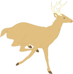 Deer Running Across Black Background - Stunning Clipart Image