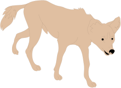 Wolf Walking on Black Background - Stunning Clipart for Your Projects